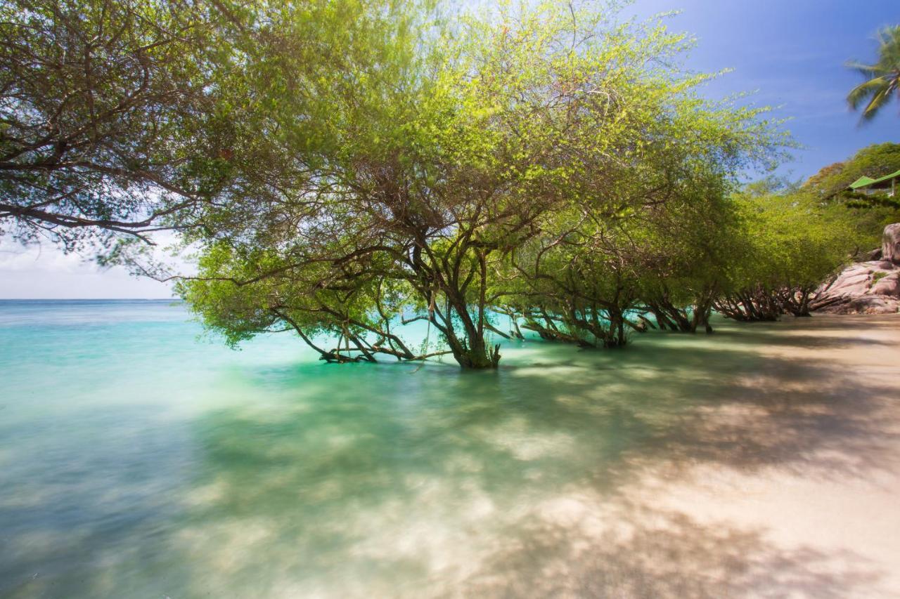 Koh Tao Relax Freedom Beach Resort Bagian luar foto